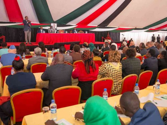 Jubilee 'Adopts' Raila's Strategy to Guard Vote in Repeat Election