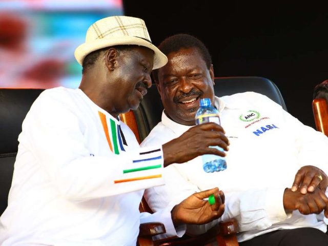 NASA Roots for Bomas Draft of the Constitution