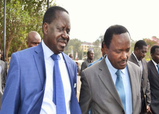 Jubilee MPs Warn Raila, Kalonzo against Planned 'Swearing-in'