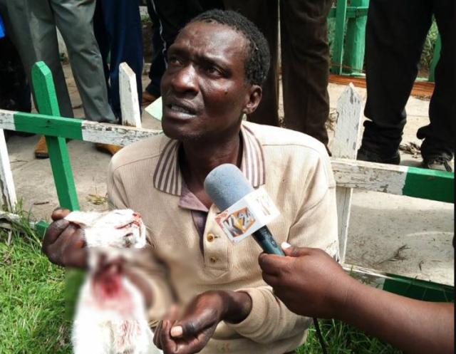 Kenyan Man Admits to Skinning 1,000 Cats, Selling Meat