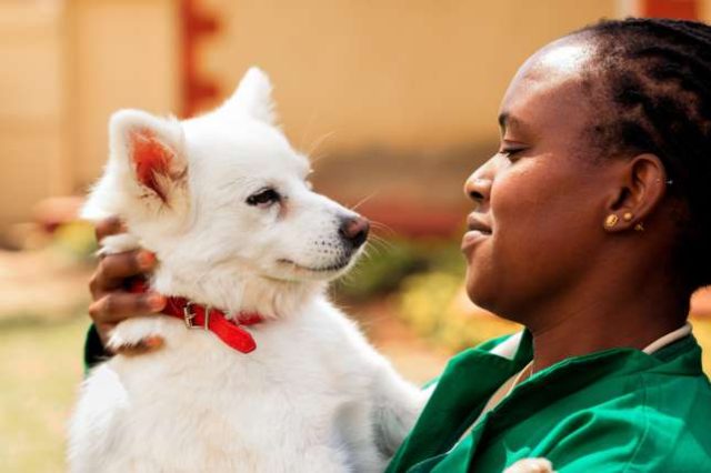 Wealthy Kenyans Splashing Up to $2,500 Per Year to Insure their Pets 