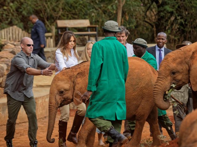 US First Lady Melania Trump Visits Children's Home, Elephant Nursery in Nairobi