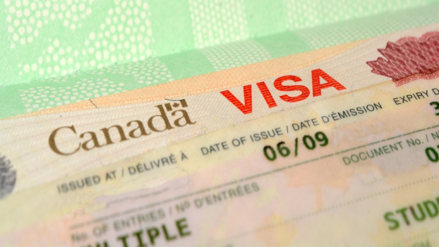 Agency Warns of Fraudsters Selling Fake Canadian Visas, Jobs to Kenyans