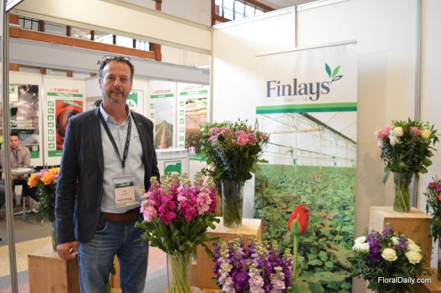 Over 1,000 Kenyans to Lose Jobs as Finlays Announces Closure of Farms