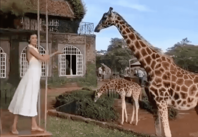 Kenyans Online React as Foreign Tourist Fails to Acknowledge Nairobi is in Kenya