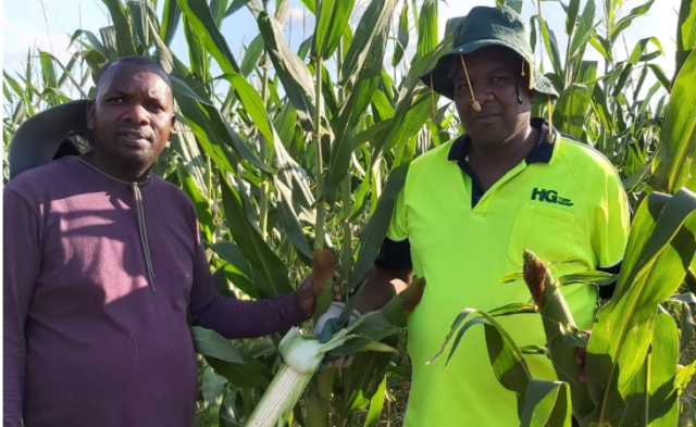 Meet Paul Irungu, a Kenyan-Born Man Making a Fortune from Growing and Selling Maize in Australia