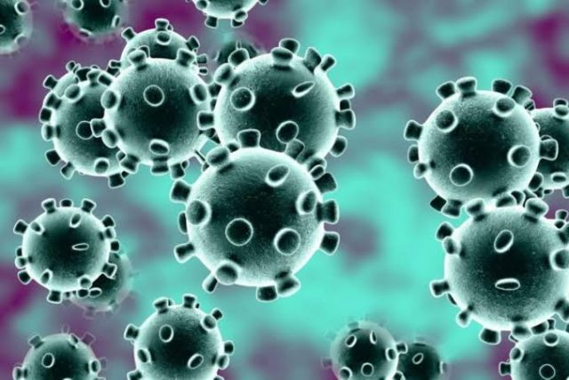 Coronavirus Kills 368 People in Italy Within 24 Hours 