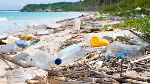 Kenya Bans Single-Use Plastics in Protected Areas