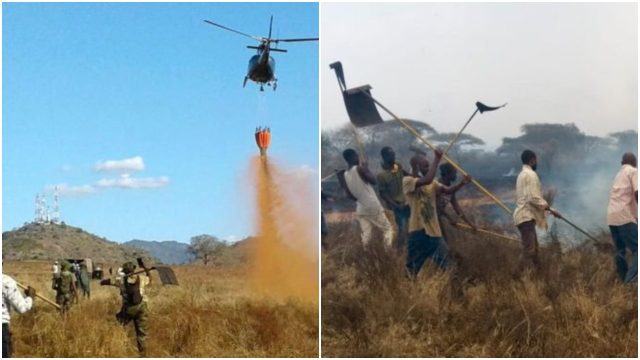 Police Launch Hunt for Arsonists Who Torched Tsavo West, Kenya's Largest National Park 