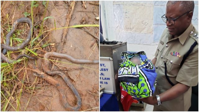 Newborn Baby Rescued Alive After Mother Dumped Him in Snake-Infested Septic Tank