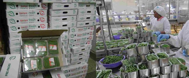 36 Kenyan Fruits and Vegetables Companies Bag Sh235 Million Orders in Virtual Italian Trade Fair