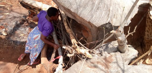 Pregnant Kenyan Woman and Her 6 Kids Live Inside Tree Stump for Months [PHOTOS]