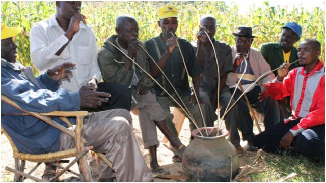 Busaa is Not Illicit Liquor, Nairobi Court Rules 