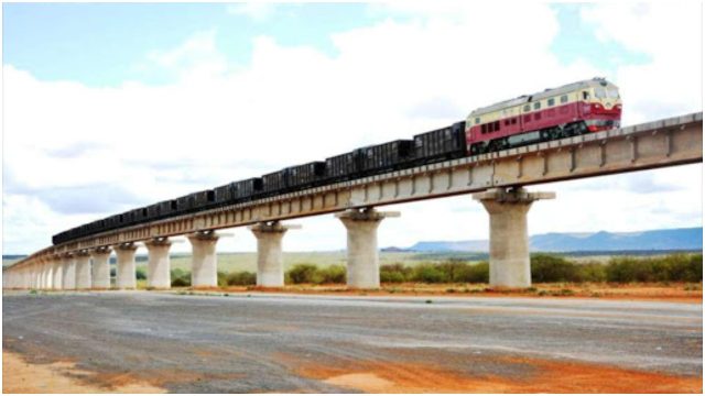 Clever Elephants Mastered All SGR Underpasses at Tsavo in Just Three Months