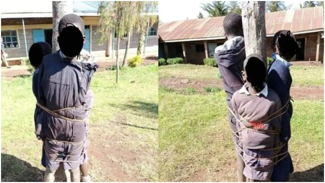 Headteacher and His Deputy in Trouble for Allegedly Tying Pupils on a Tree as Punishment 