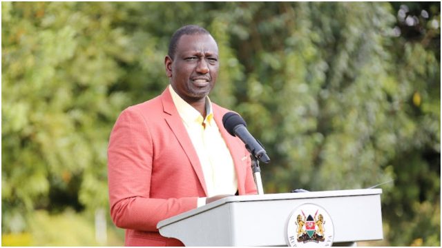 Ruto: I Make Sh1.5 Million a Day Selling Eggs from My Chicken Farm 