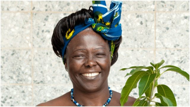 MPs Want Karura Forest Renamed After Prof. Wangari Mathai