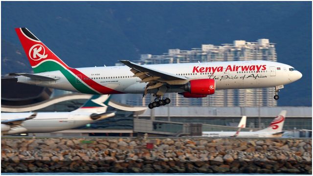 Kenya Airways Vows to Stop Shipping Monkeys to the US