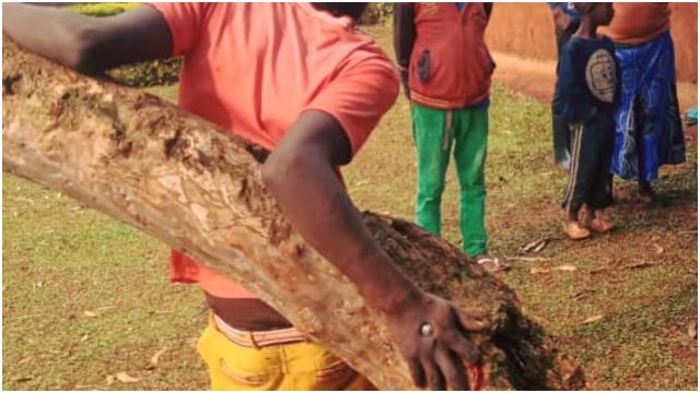 Police Rescue 19-Year-Old Kenyan Man Nailed to a Tree 