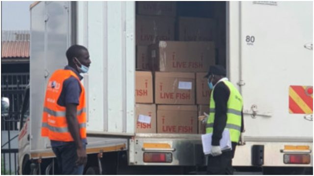 Chinese Nationals Arrested at JKIA Trying to Illegally Export 5,703kgs of Live Crabs 