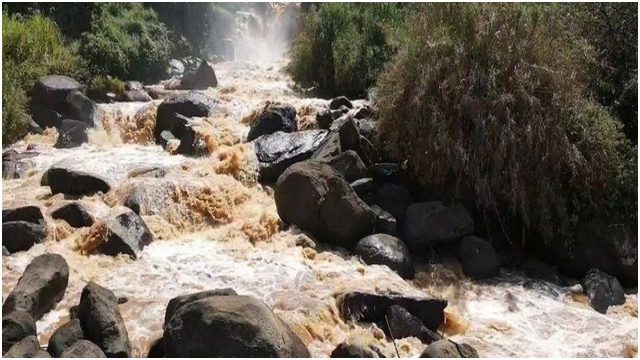 Three More Bodies Retrieved from River Yala, Raising Total Count to 30