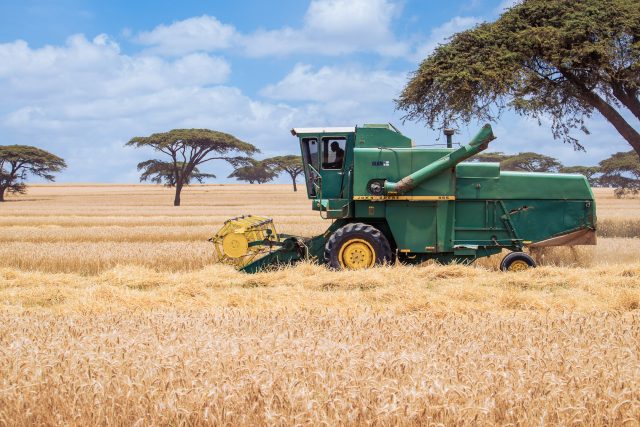 Wealthy Investors to be Given Idle Kenya Gov't Land for Large-Scale Farming 