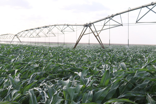 President Ruto Orders Revival of the Failed Galana Kulalu Irrigation Project