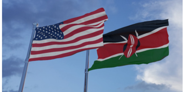 Kenyans in the US Ranked Third Most Industrious Foreigners 