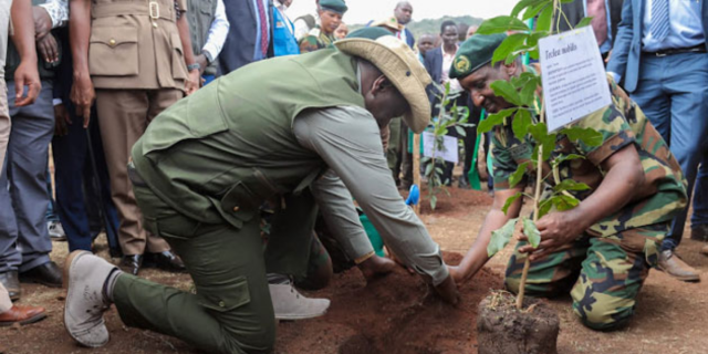 Kenya's Tree Planting Day Allegedly Crafted for Financial Gain