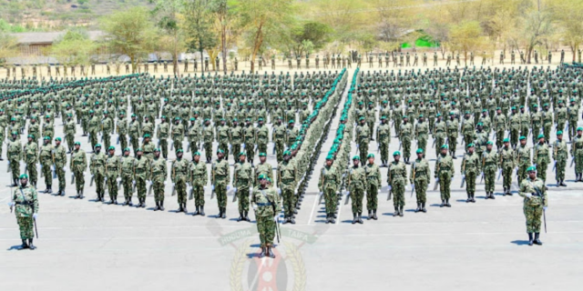 NYS Graduates Offered Job Openings in the United Kingdom