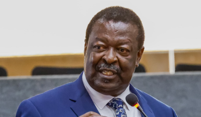 Mudavadi Pledges to Tap into Diaspora Resources for Economic Growth