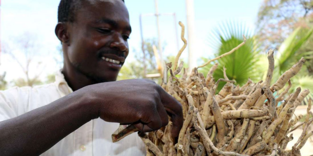 From Mukombero to Maasai Shuka: The Surprising Global Appeal of Kenya Household Items 