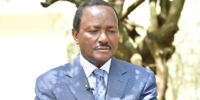 Kalonzo to Ruto: Brace for Political Tsunami to Oust Your Regime