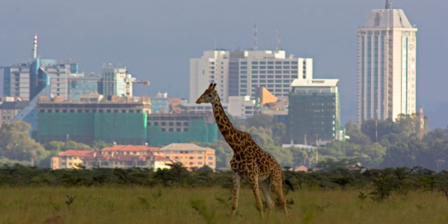 Nairobi Climbs to 4th Place in Africa's High-Rent City Rankings