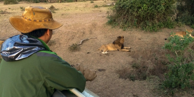 How Chinese Tourist Boosts Local Incomes in Maasai Mara