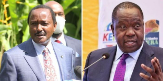 Matiang'i-Kalonzo Alliance in the Works, Kioni Confirms