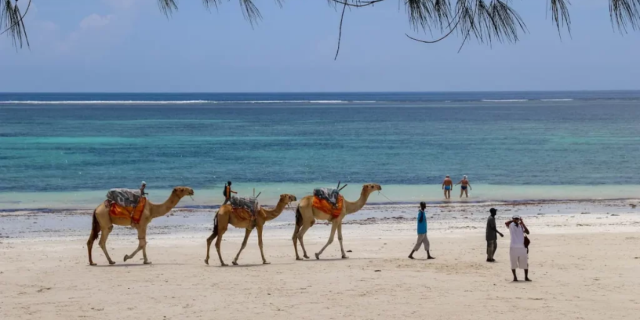 Lamu Authorities Urge Caution on Treacherous Indian Ocean Beaches